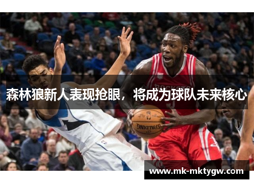 森林狼新人表现抢眼，将成为球队未来核心