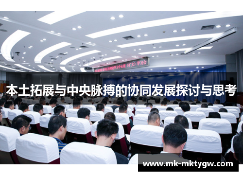 本土拓展与中央脉搏的协同发展探讨与思考